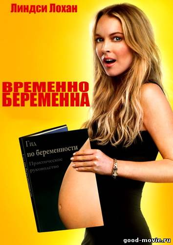 Постер Временно беременна