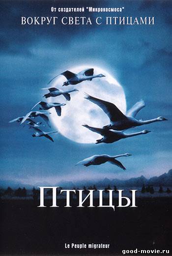 Постер Птицы (документальный, 2001)
