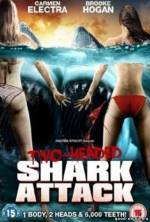 Постер Угроза из глубины (Атака двухголовой акулы)