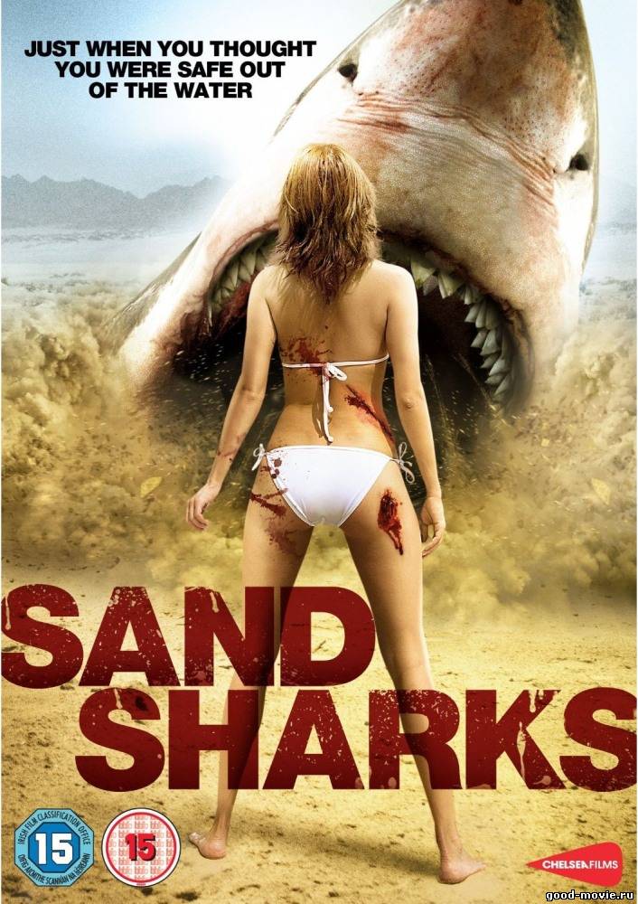 Постер Песчаные акулы