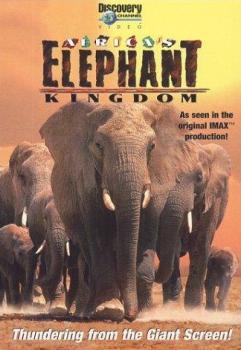 Постер Африка – королевство слонов