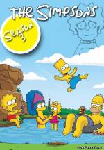 Постер Симпсоны (3 сезон)