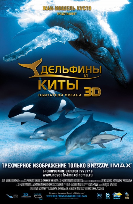 Постер Дельфины и киты 3D