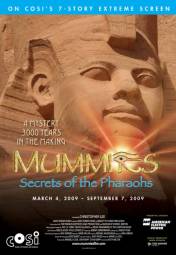 Постер Мумии: секреты фараонов 3D